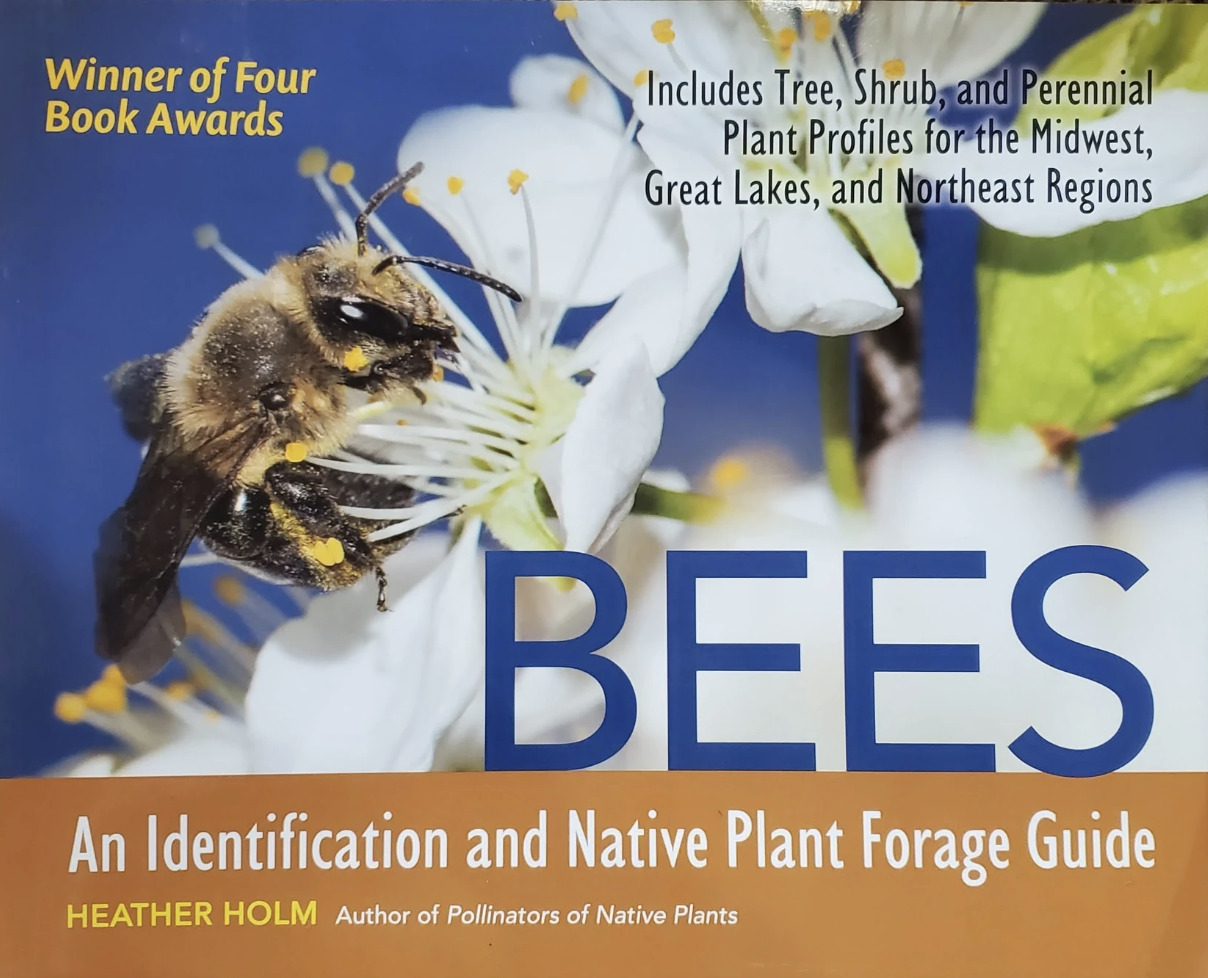Bees: An Identification Guide - Heather Holm