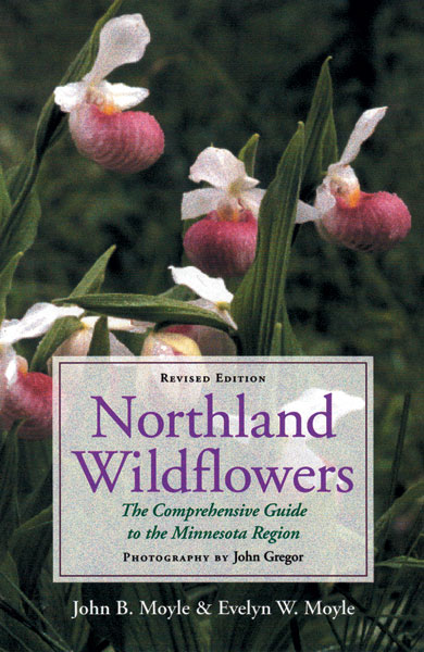 Northland Wildflowers II