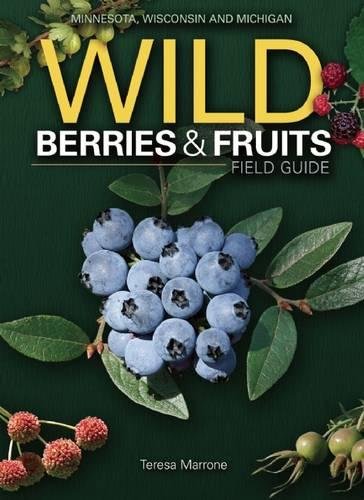 Wild Berries & Fruits