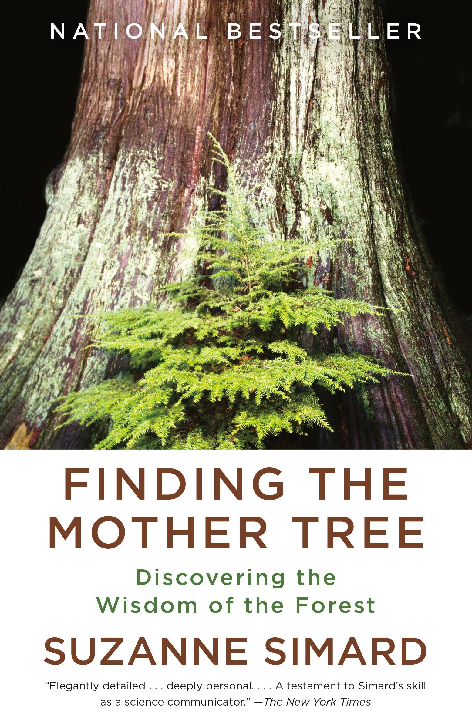 Finding the Mothe Tree