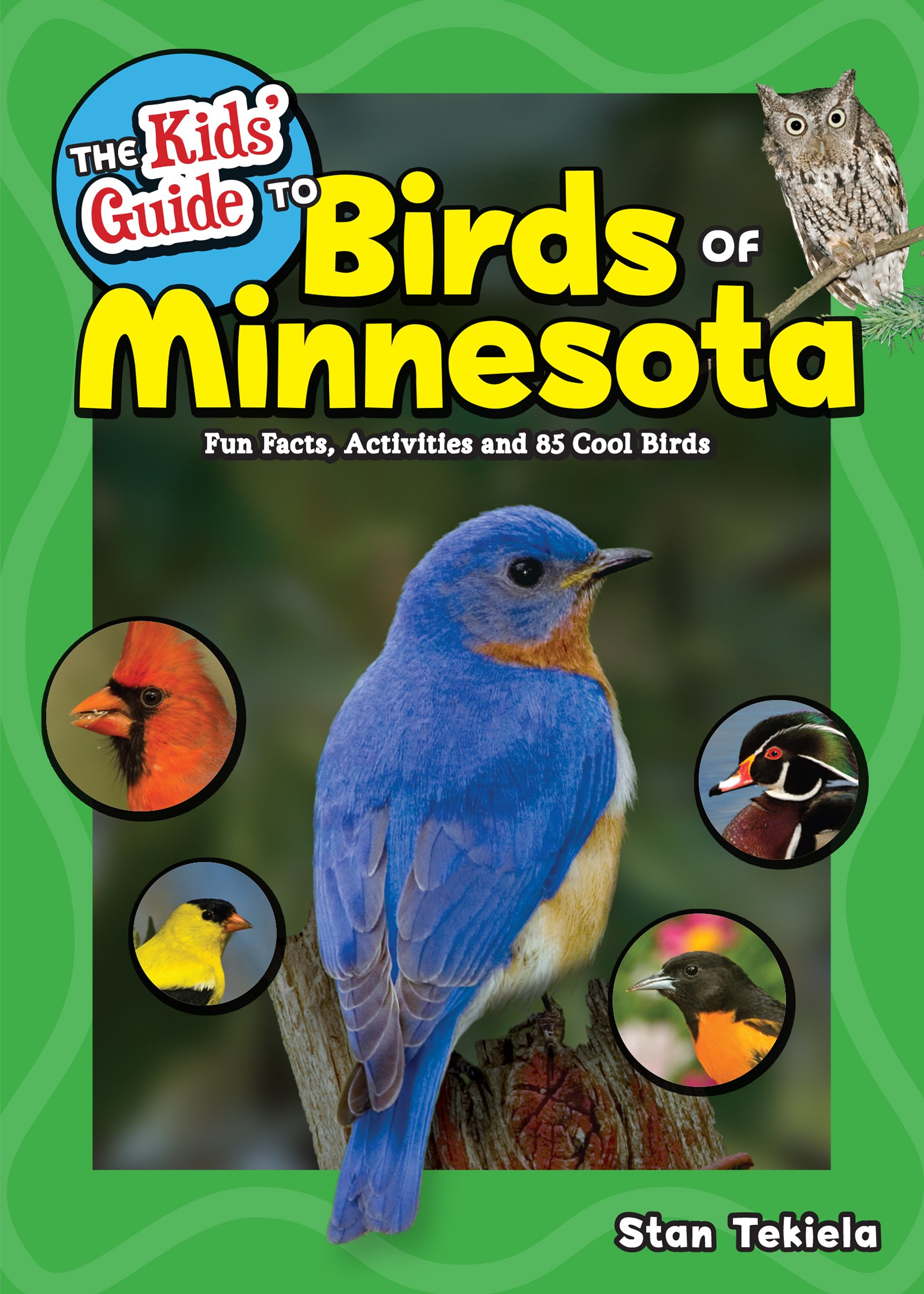 Kids' Guide to Birds of Minnesota