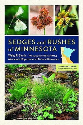 Sedges and Rushes of Minnesota - Welby R Smith
