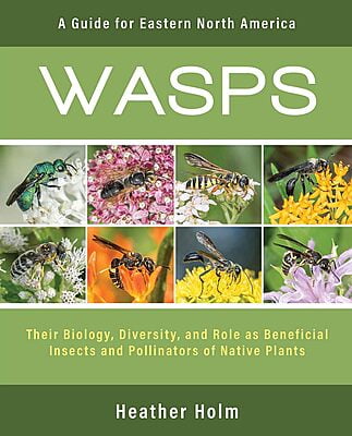 Wasps: A Guide - Heather Holm