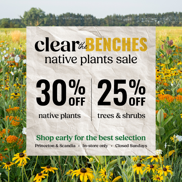 Clear The Benches Web Popup